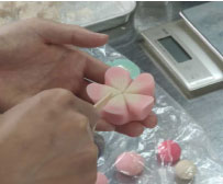 Japanese confection craftsman course　[7days]